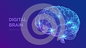 Brain. Digital brain. 3D Science and Technology concept. Neural network. IQ testing, artificial intelligence virtual emulation