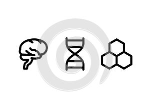 Brain & DNA Icon