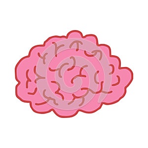 Brain drawing isolated. Brains bends on white background