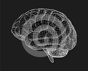 Brain drawing with wireframe illustration