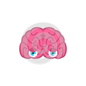 Brain with eyes isolated. Brains look. Vector illustration