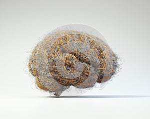 Brain filled with wires suggesting the complexity of the human mind or brainstorm