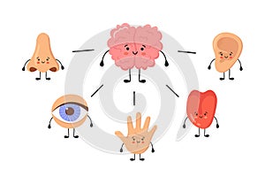 Brain and five human senses organs kawaii characters. Nose, ear, hand, tongue and eye. Cute sensory organs. See, hear