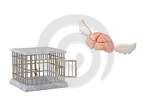 The brain flew out of the cage.3D illustration.