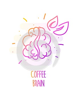 The brain in the form of a coffee bean in color linear style. Vector