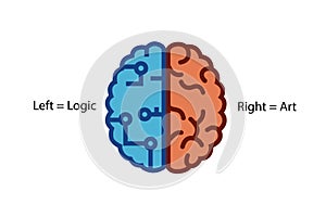 Brain function: Left and Right function