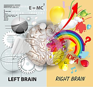 Cerebro funciones 