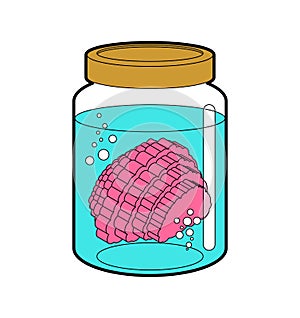 Brain in glass jar. Brainss in glassy Liter jar. vector illustration