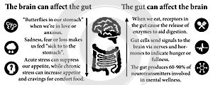 Brain gut interaction