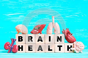 Brain Health Concept with Wooden Blocks and Miniature Organs