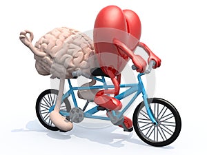 Brain and heart riding tandem bicycle