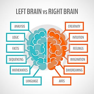 Brain hemispheres infographics