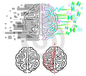 Brain hemispheres maze vector