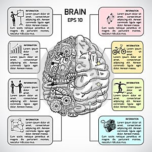 Brain hemispheres sketch infographic