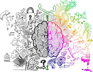 Brain hemispheres sketchy doodles