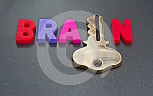 Brain holds the key