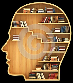 Brain human book