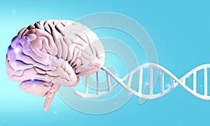 brain of human healthcare illustration rendering, health of neuron cell, think of idea on background