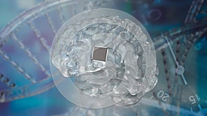 The Brain and ic for Natural Language Processing NLP concept 3d rendering