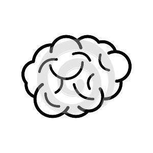 Brain icon