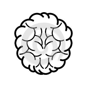 Brain icon