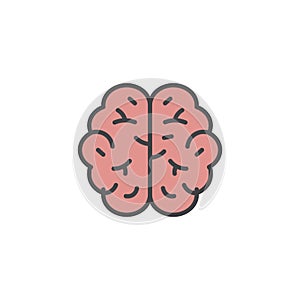 Brain icon in colored version