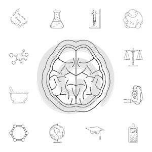 Brain icon. Detailed set of Science and lab illustrations. Premium quality graphic design icon. One of the collection icons for we