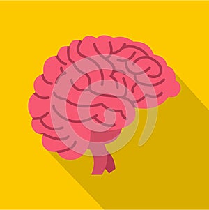 Brain icon, flat style