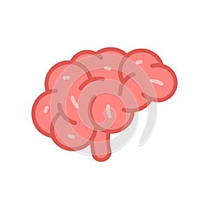 Brain Icon. flat style