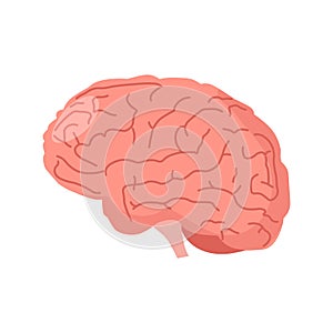 Brain icon. Human brain. Internal organ, anatomy, creative idea. Vector cartoon flat icon illustration isolated on white