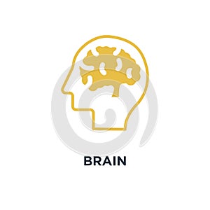 brain icon. human mind, creative idea concept concept symbol des