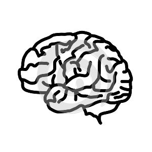Brain icon isolated on white background