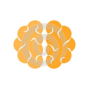 Brain icon isolated on white background