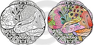 Brain image in zentangle style on mandala for coloring. Color and outline set