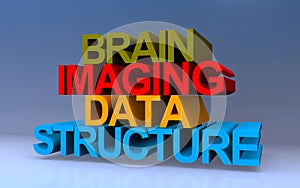brain imaging data structure on blue