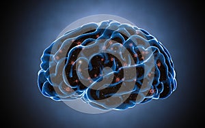 Cerebro. neurona sistema. hombre. transferir legumbres a generación 