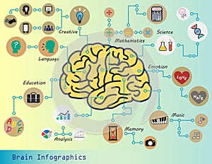 Brain Info graphics