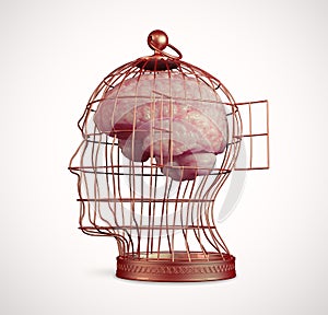 Brain inside a cage