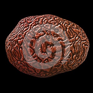 Brain isolated generated hires texture