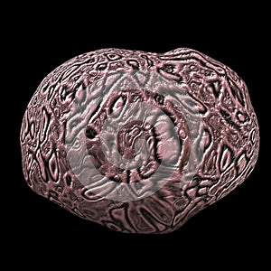 Brain isolated generated hires texture