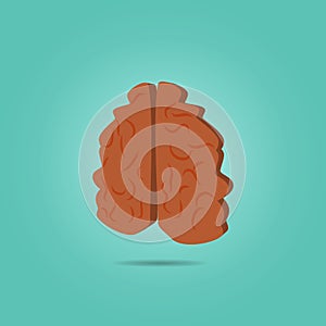 Brain isometric icon. Simple color vector of science icons for ui and ux, website or mobile application