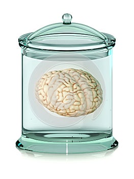 Brain in jar photo