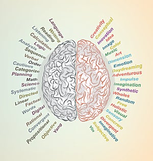 Brain Lateralization