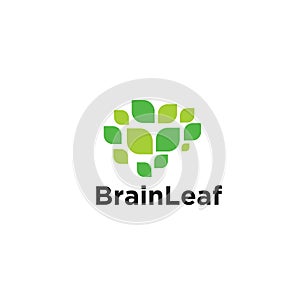 Brain leaf logo vector icon design illustration isolated white background