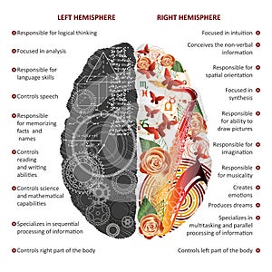 Brain left and right hemispheres infographics vector illustration