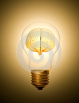 Brain light bulb lit