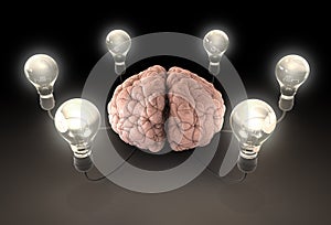 Brain And Lightbulb Imagination