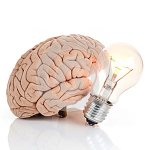 Brain with lightbulb isolated on white background