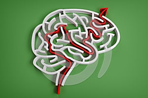 Brain-like maze with red arrow
