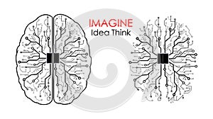 Brain logo vector illustration on white background. .